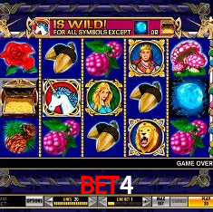 Experiência Cassino bet4